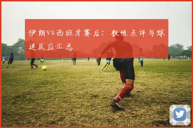 伊朗vs西班牙赛后：教练点评与球迷反应汇总
