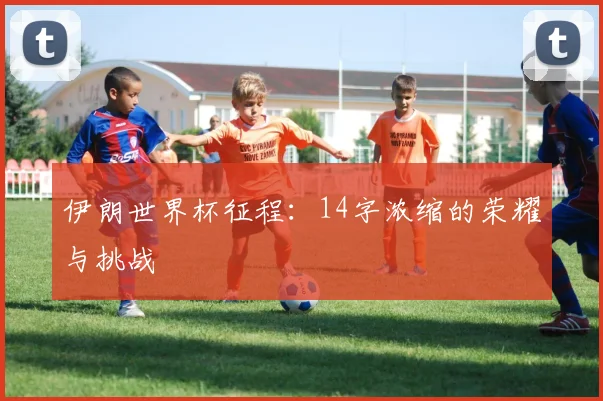 伊朗世界杯征程：14字浓缩的荣耀与挑战
