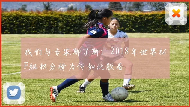 我们与专家聊了聊：2018年世界杯F组积分榜为何如此胶着